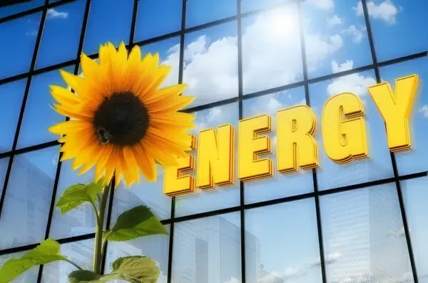 energy sun flower font
