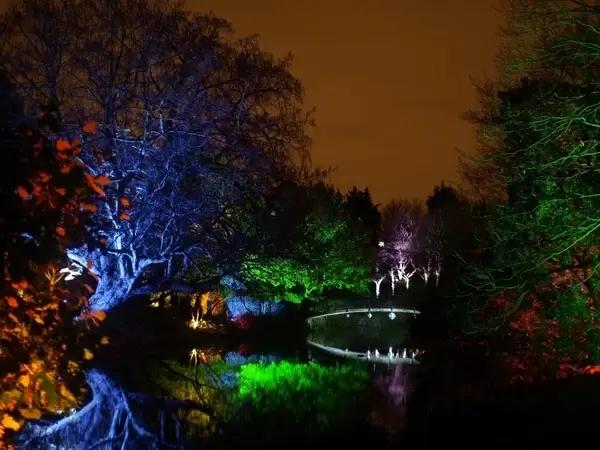 england great britain syon park enchanted woodland