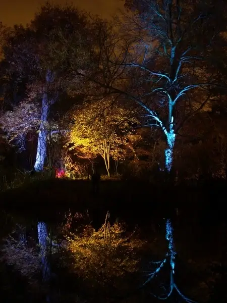 england great britain syon park enchanted woodland
