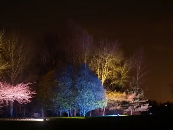 england great britain syon park enchanted woodland