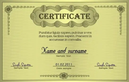 european certificate 04 vector