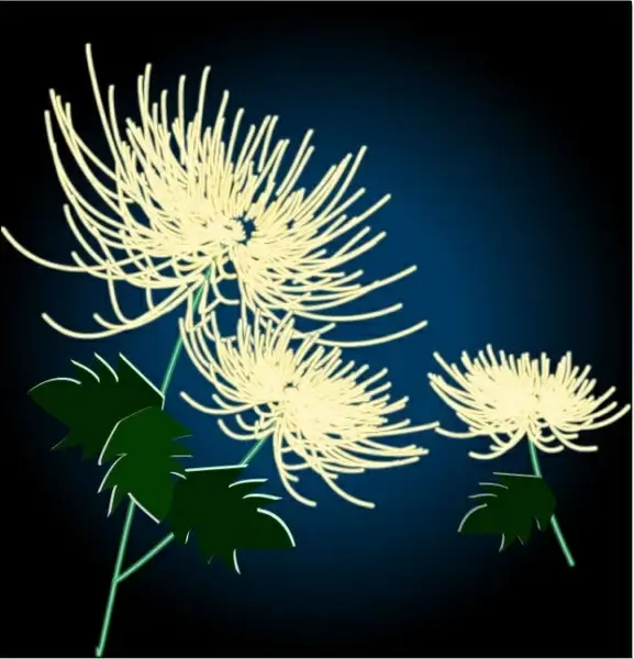 exquisite chrysanthemum vector