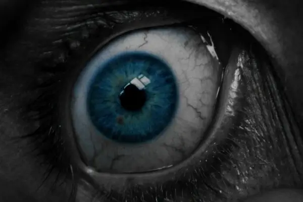eye