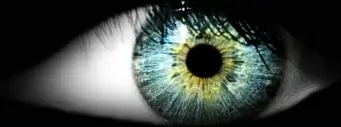 eye