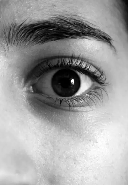 eye eyebrows eyelashes