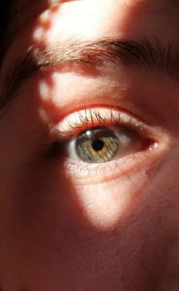 eye eyelashes eyebrows