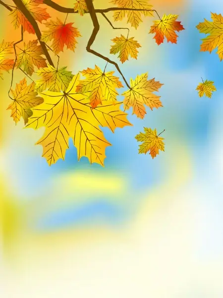 fall of maple leaf elements background vector