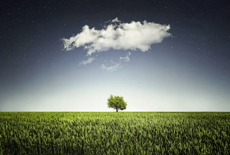 farmland backdrop picture trees cloudy sky scene