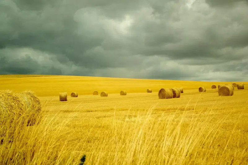 farmland picture cloudy sky scene 