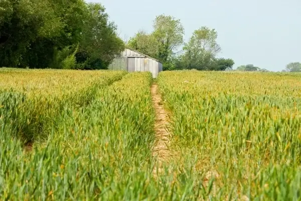 farmland view countryside