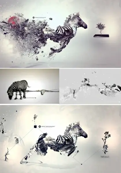 fashion mix and match style zebra amp reindeer hd picture