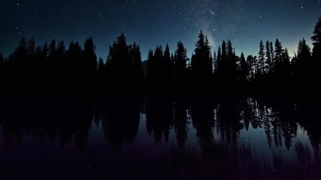 fast clips of sparkling starry sky