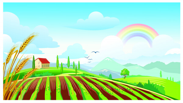 field landscape with rainbow
