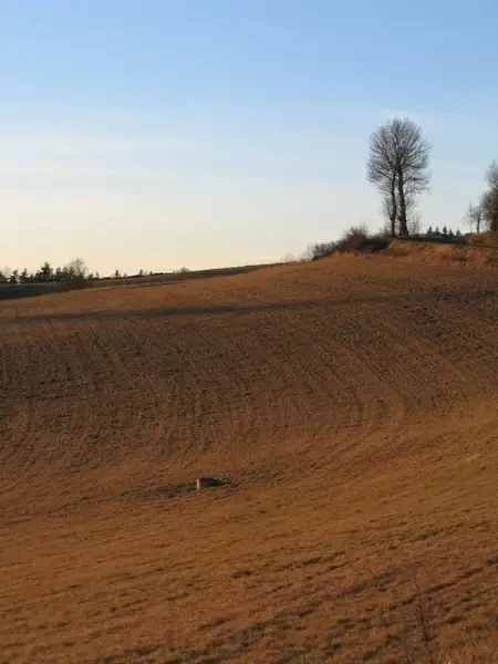 field pre labour