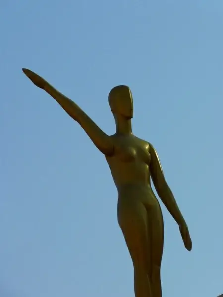 fig golden museum