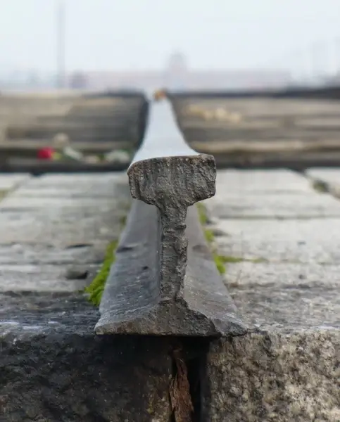 final stop tracks birkenau