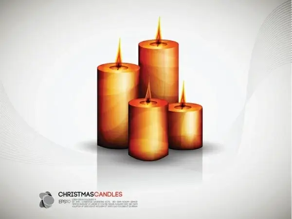fine candles vector