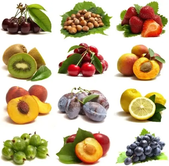 fine fruit 04 hd pictures