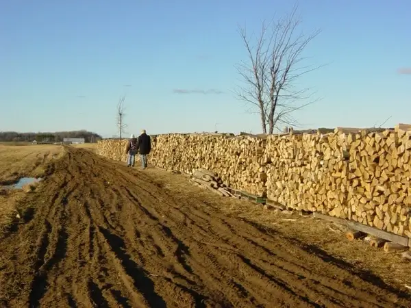 firewood