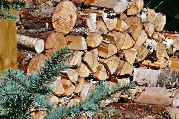 firewood stack wood holzstapel