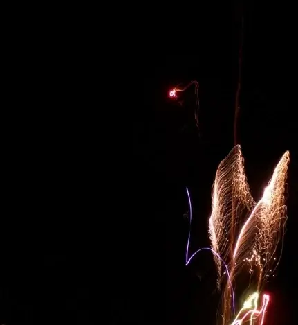 firework display