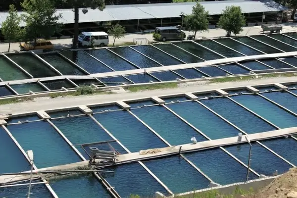 fish farm