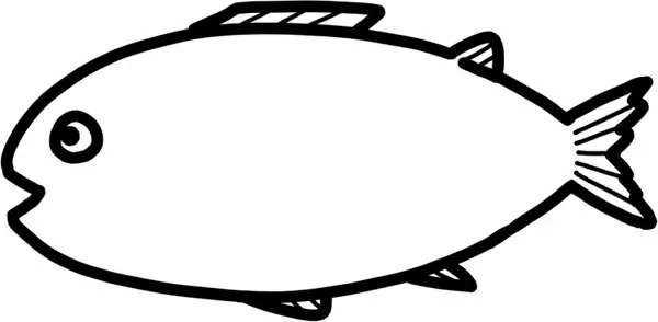 fish illustration