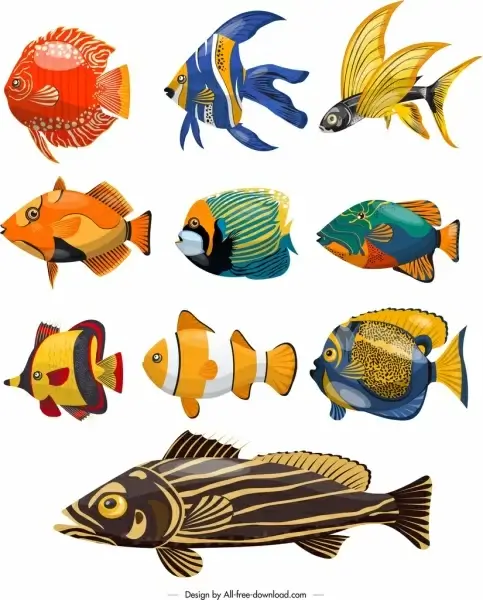 fishes species icons colorful design