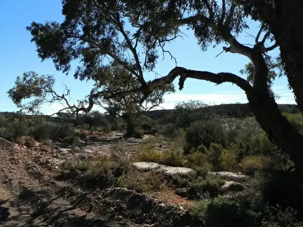flinder039s ranges south australia