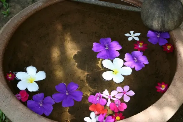 floating flowers