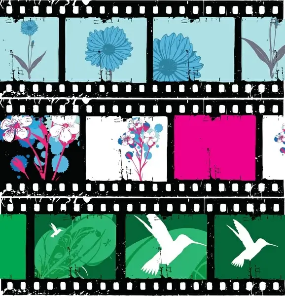 floral film strips vector