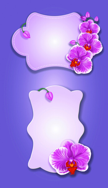 flower and labels vector