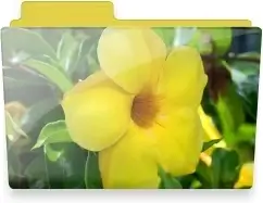 Flower folder