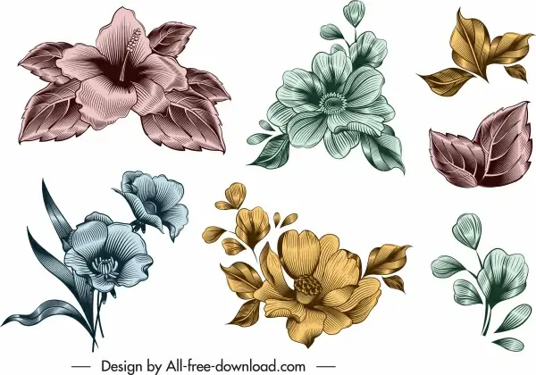 flower icon templates shiny colored elegant vintage design