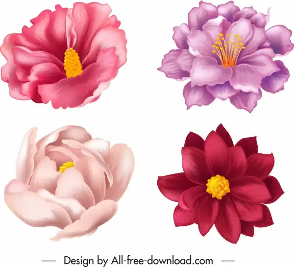 flower icons colored petals classical handdrawn 3d sketch