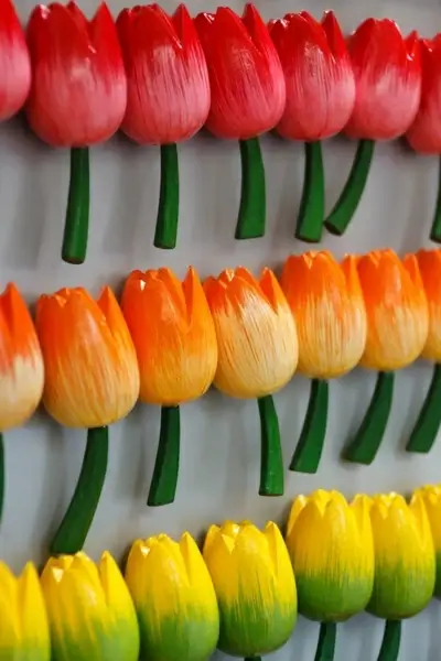 flower magnets