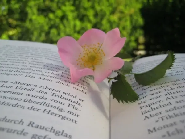 flower nature book