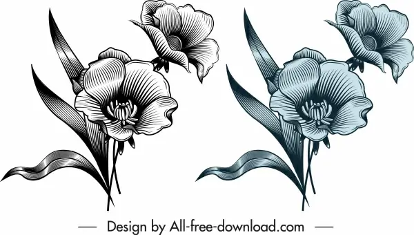 flower template shiny elegant design vintage sketch