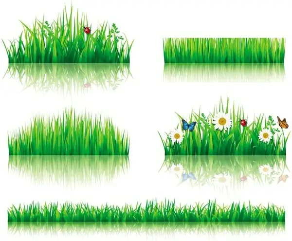flower with grass border vector