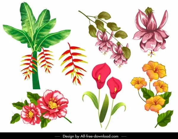 flowers icons colorful classical design