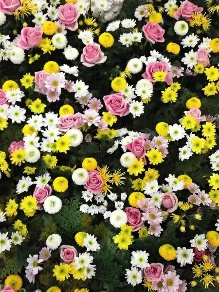 flowers texture flower carpet