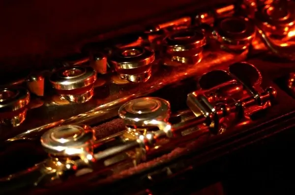 flute disassembled box