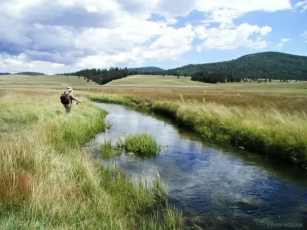 fly fisherwoman