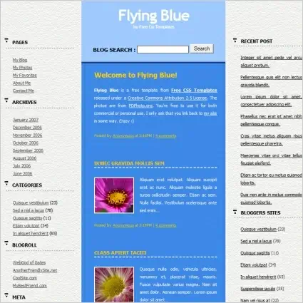 flying blue