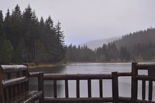 fog forest lake landscape mist mountain nobody north