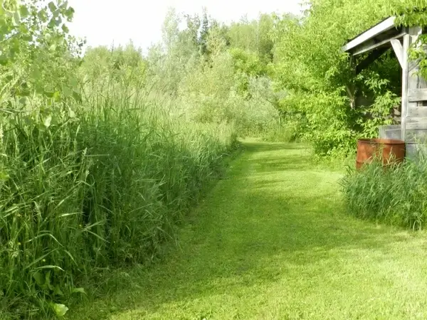 footpath