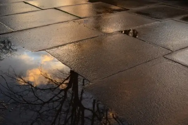 footpath and puddle