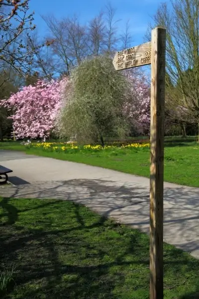 footpath to pine woods