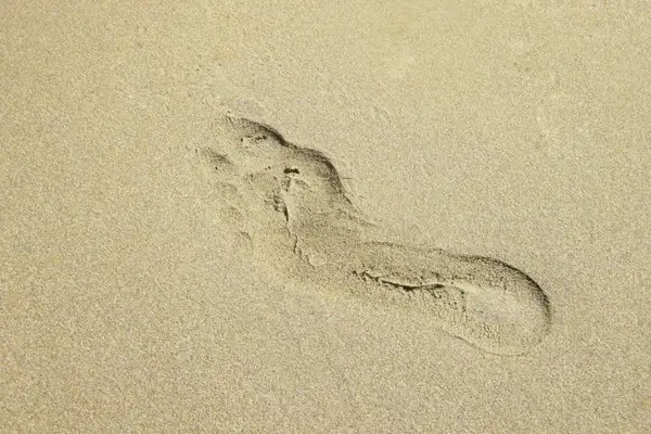 footprint in sand