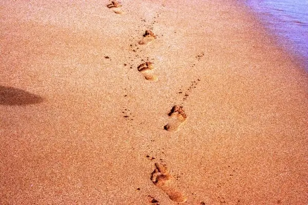footprints